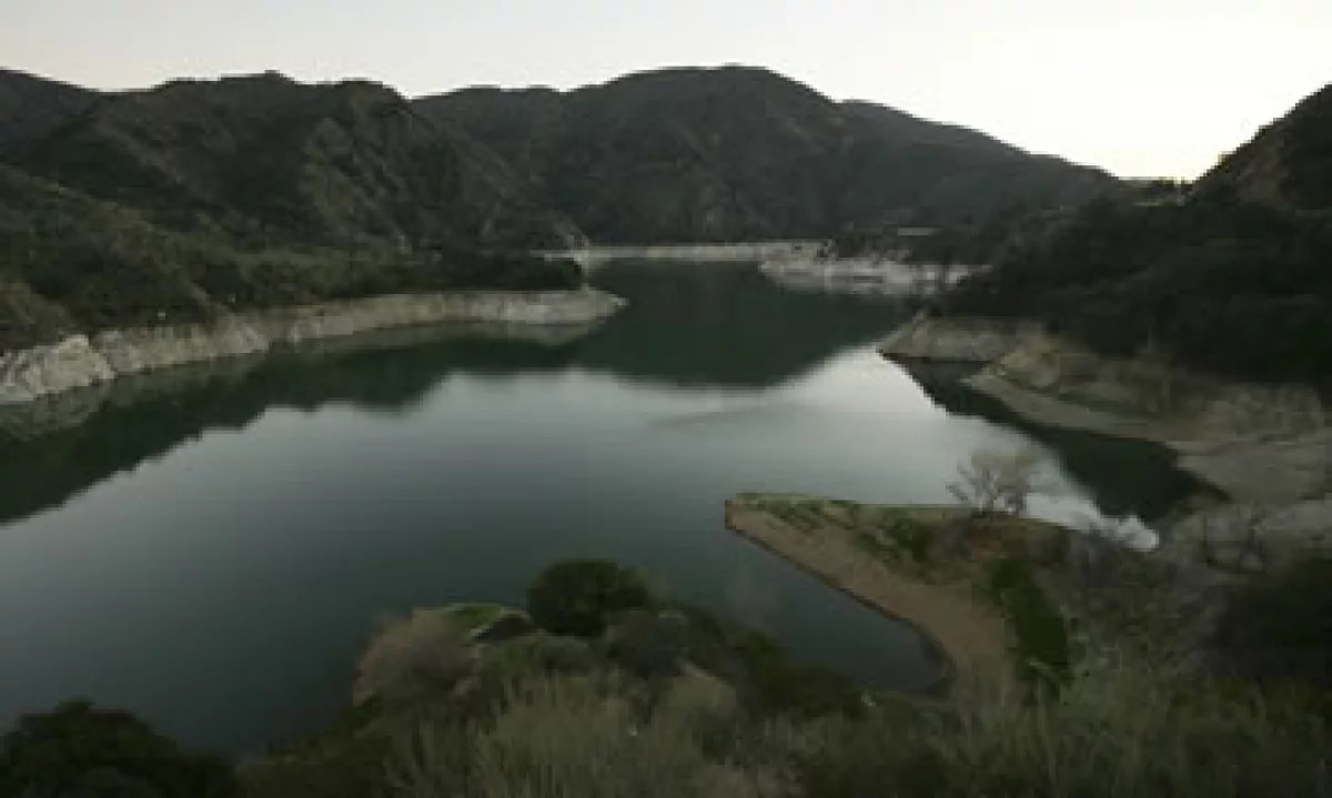La presencia de más agua y las altas temperaturas son un 'semillero' para la enfermedad. (Foto: Getty Images)
