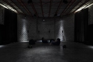 ABMB_2019_Jana_Winderen_The_Art_of_Listening_Under_Water_19_JPEG.jpeg
