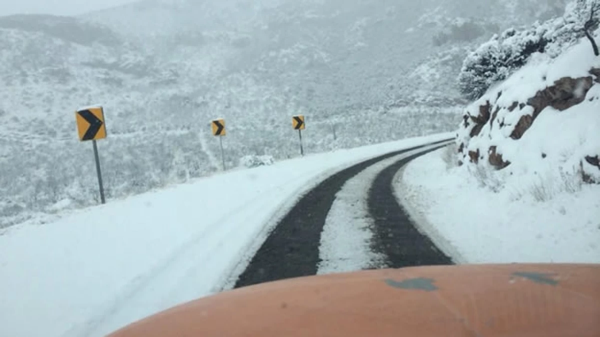 La nevada registrada en la carretera federal Janos-Puerto San Luis, en Sonora