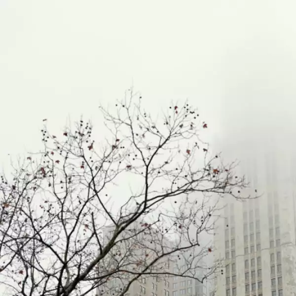 un edificio cubierto de niebla en el bajo manhattan 