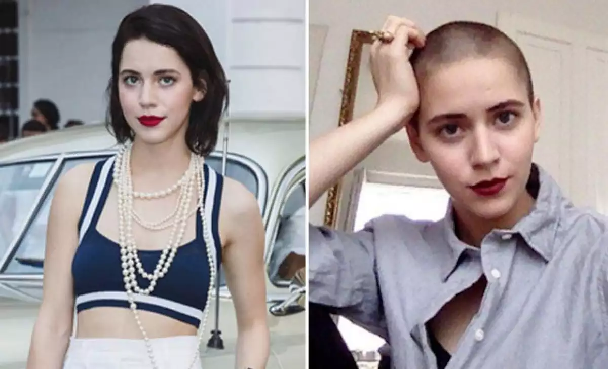 Desde famosas mexicanas hasta artistas internacionales, estas actrices y cantantes no se han quedado con las ganas de probar estilos largos, ondulados, cortos, rapados o de colores.