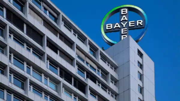 bayer_generica_01
