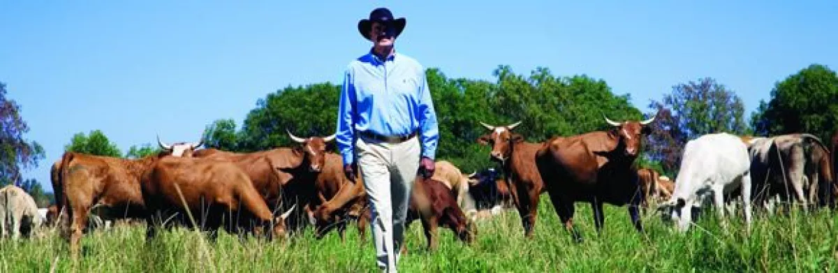 Además de criar ganado, en el rancho San Cristóbal se cultiva brócoli, papa y maíz.