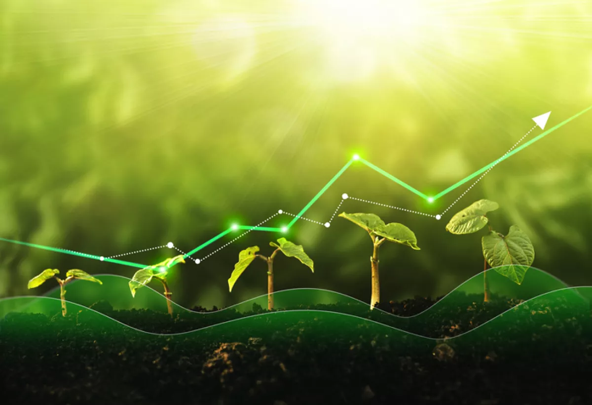 gráfico financiero con plantas