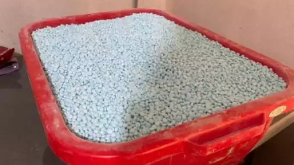 Las píldoras se muestran en un centro de fabricación de píldoras de fentanilo y en un laboratorio de metanfetamina incautado por el ejército mexicano, en Culiacan, en el estado de Sinaloa, México, el 14 de febrero de 2023.