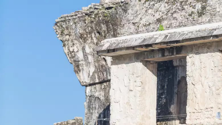 Estación Palenque del Tren Maya