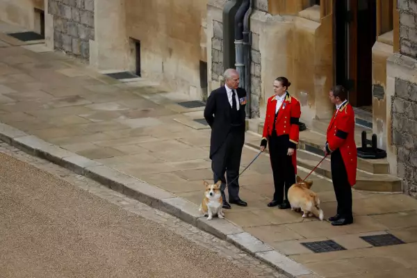 El príncipe Andrés y los corgis de Isabel II