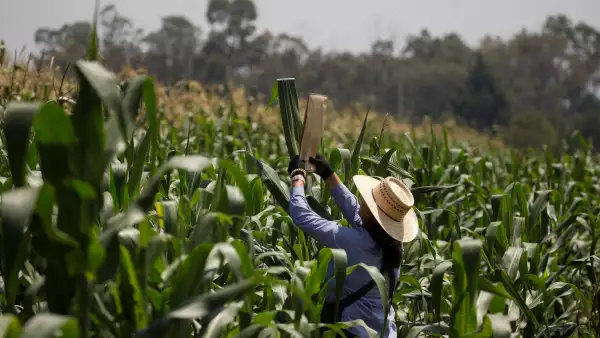 Actividad económica de México crece en febrero tras 4 meses de caídas