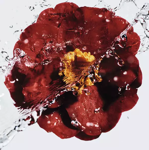 5-chanel-numero 1-n 1-skincare-maquillaje-fragancia-innovador-sustentable-camelia-camelia roja-anti edad-crema-suero.jpg