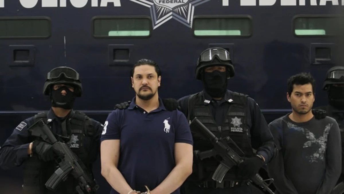 jj camisa polo 2