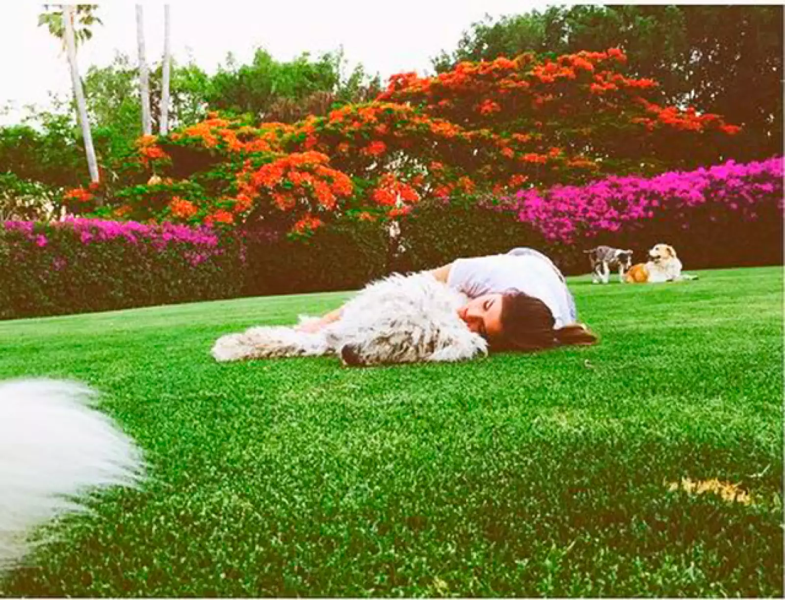 Karla tomando una siesta con Kush.