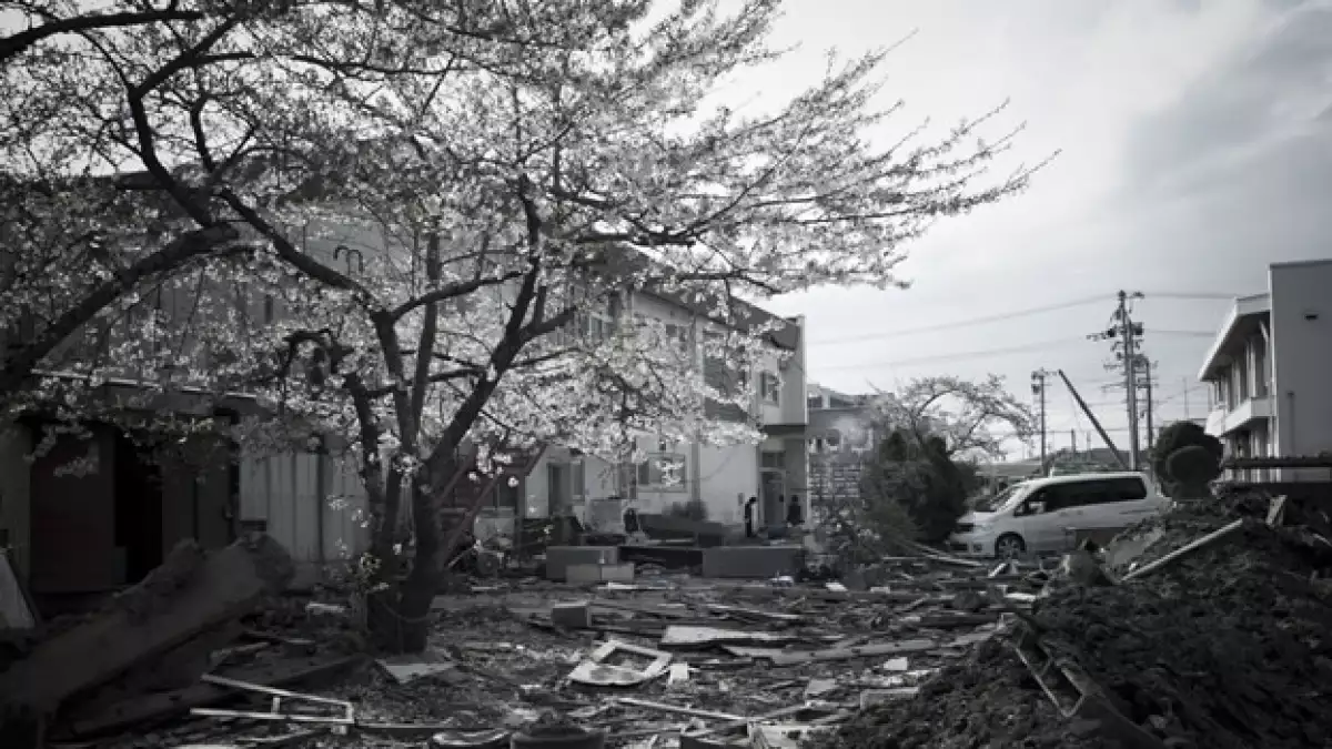 paisaje de desastre natural