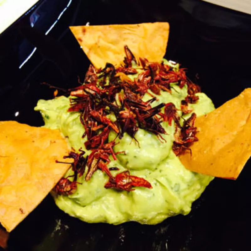 chapulines
