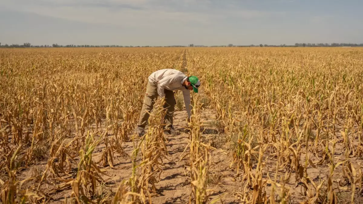 Cambio climático acentuará el alza de precios de los alimentos y combustibles en 2024
