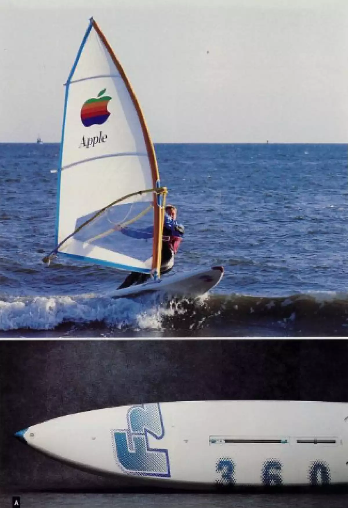 Windsurf y tablas de surf de Apple Collection