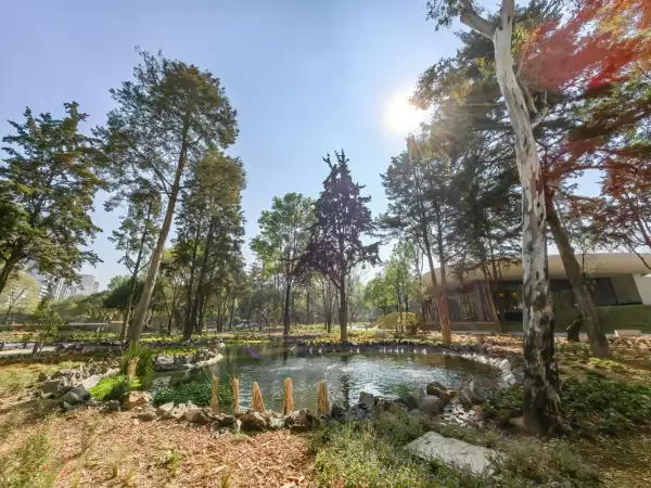 Foto del auditorio del Jardín Escénico del Bosque de Chapultepec visto desde afuera junto al lago artificial.