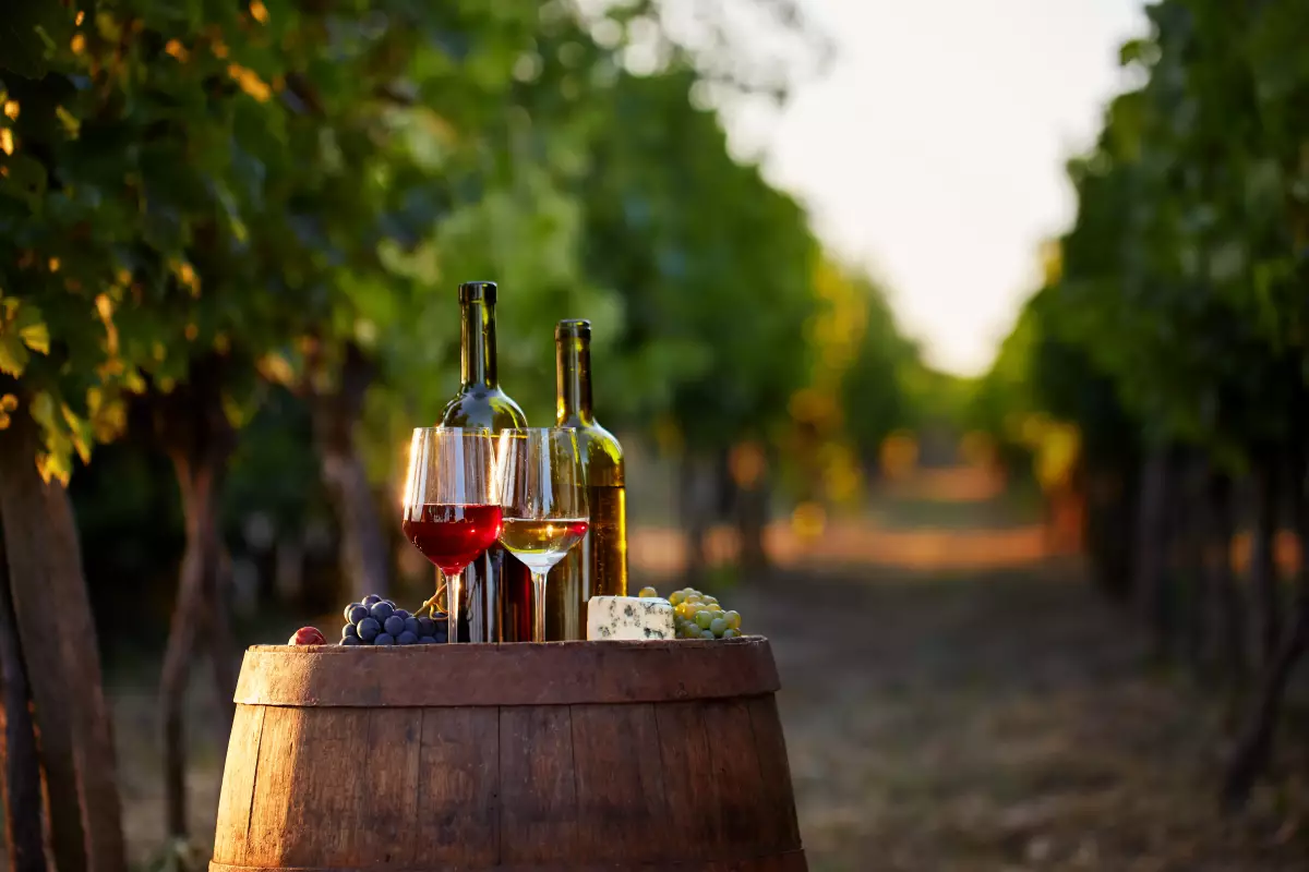 Productores de vino mexicano buscan impulsar su crecimiento. (iStock)
