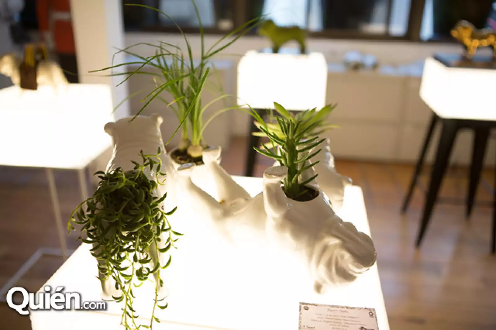 La muerte tiene permiso de Xochitl Gálvez