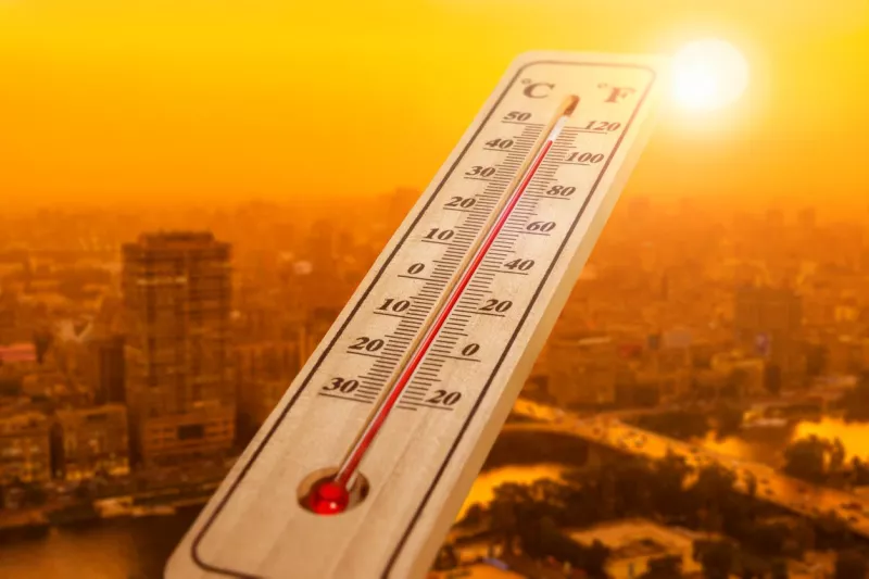 ¿Qué podemos aprender del plan de adaptación climática de Francia?