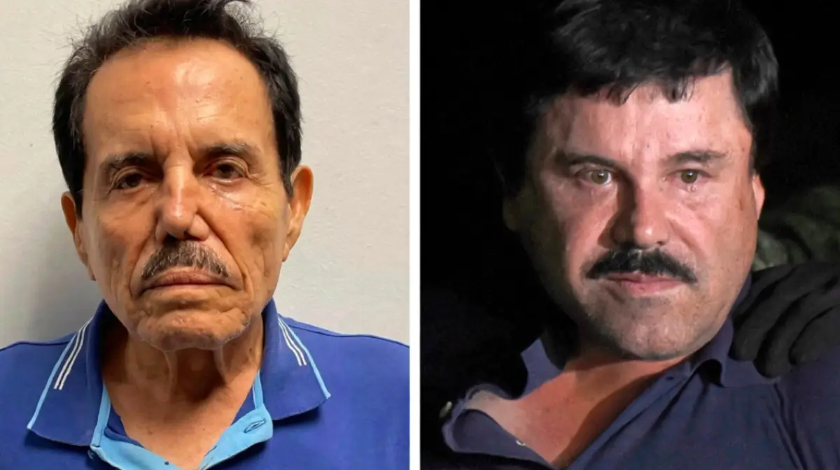 Chapo Mayo