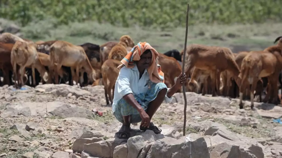 Un granjero se resguarda del calor que azota a India desde hace días y ha causado centenares de muertos