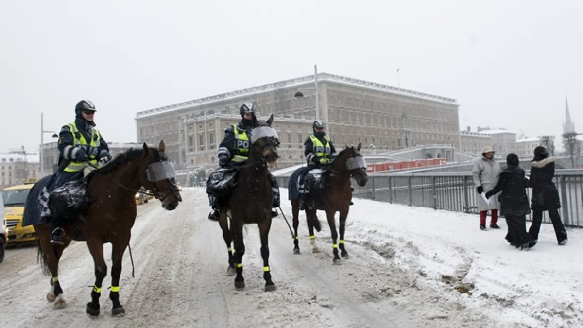 Suecia Palacio Real policia
