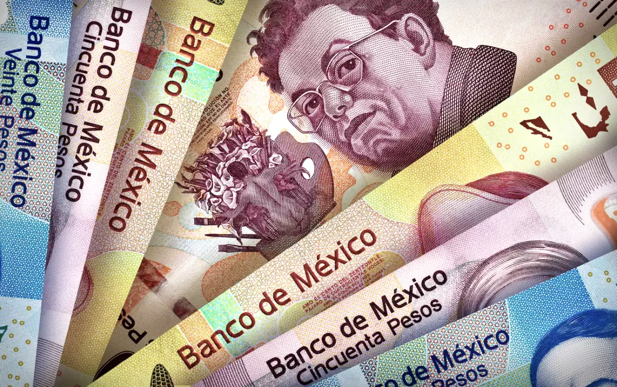 Favoritos