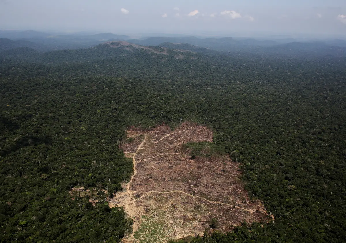 Brasil Amazonas deforestación