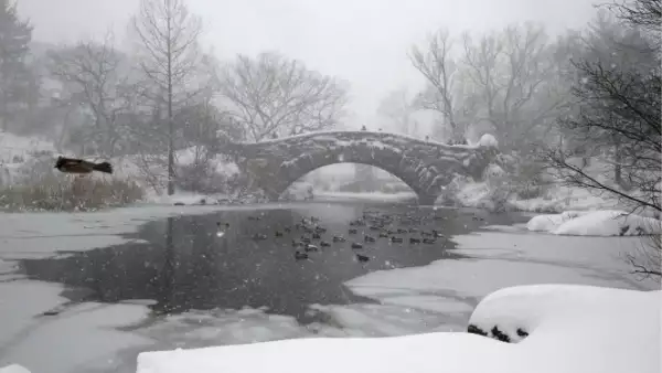 Central Park, en NY,  luce totalmente blanco con el paso de la tormenta de invierno este fin de semana