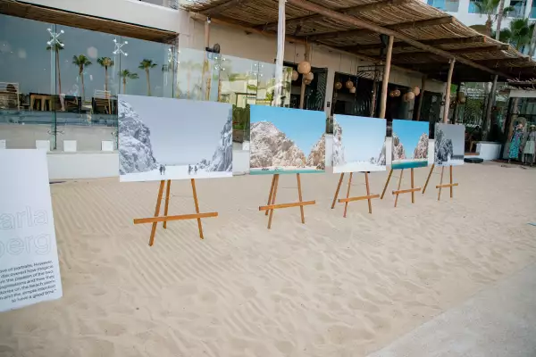 Carla Weinberg exposición 