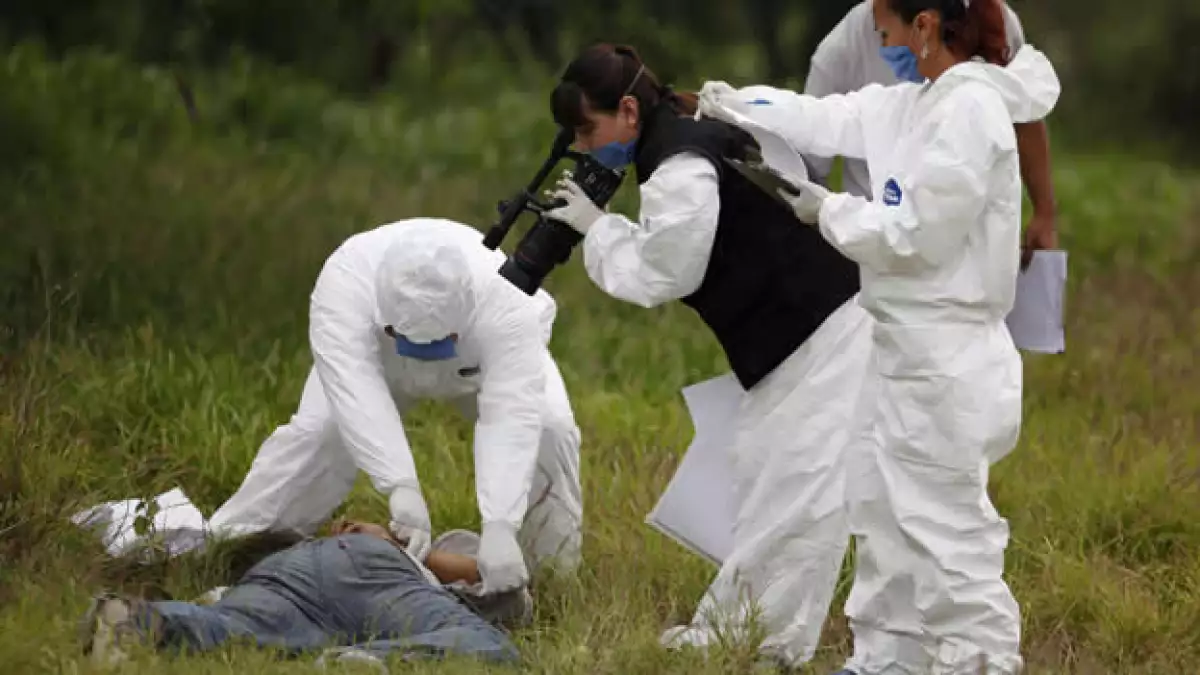 monterrey asesinados peritos