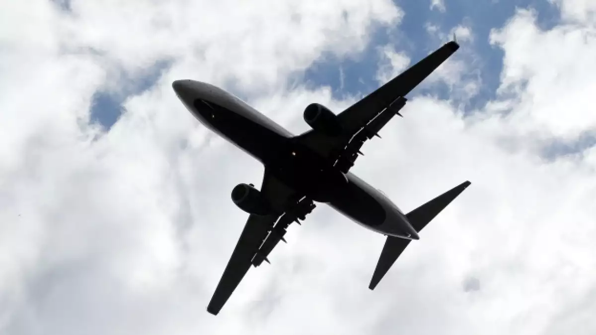 vuelo