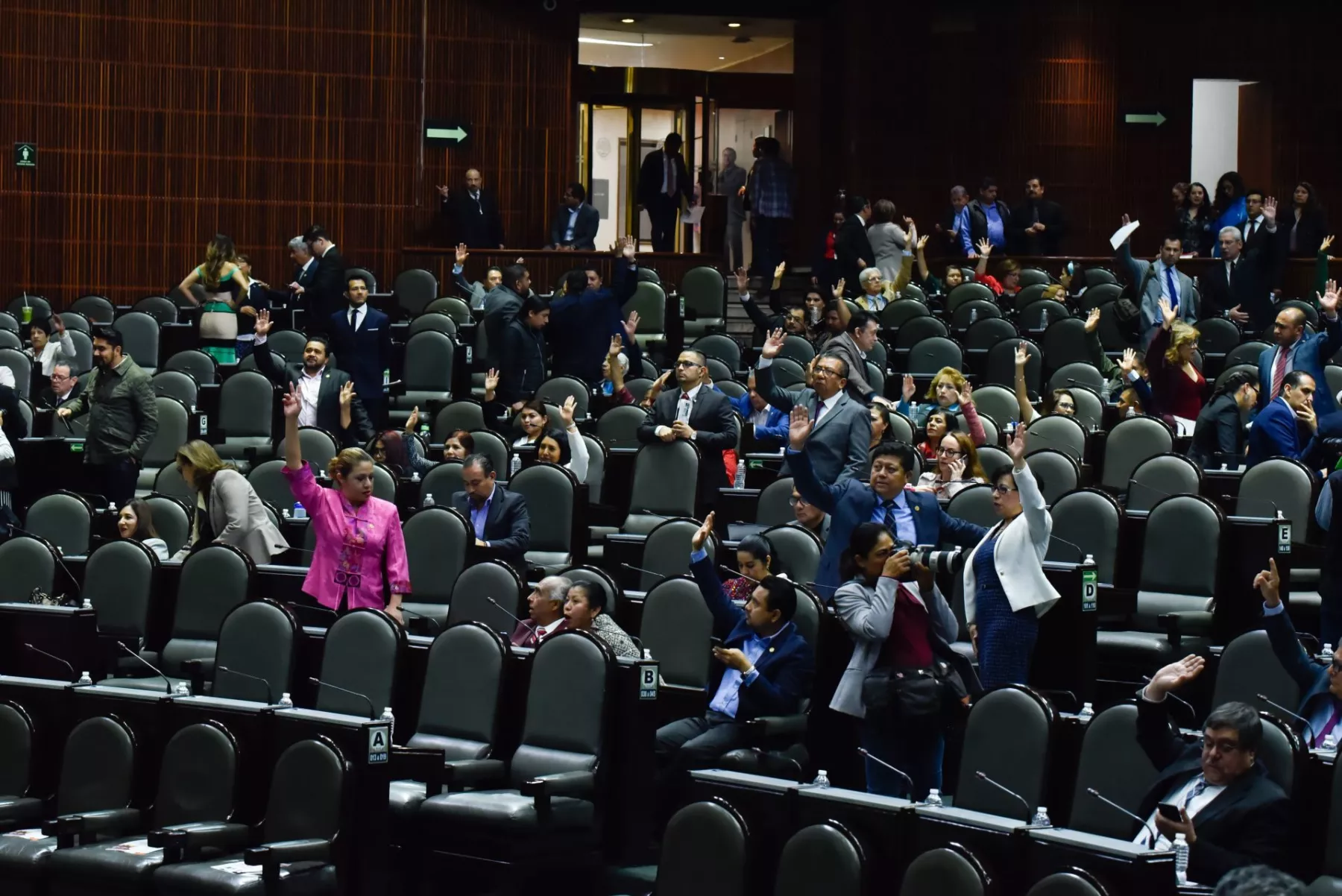 diputados 