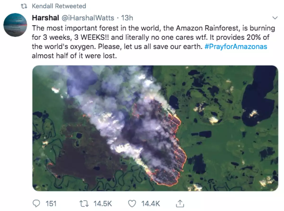 amazonia-incendio.png