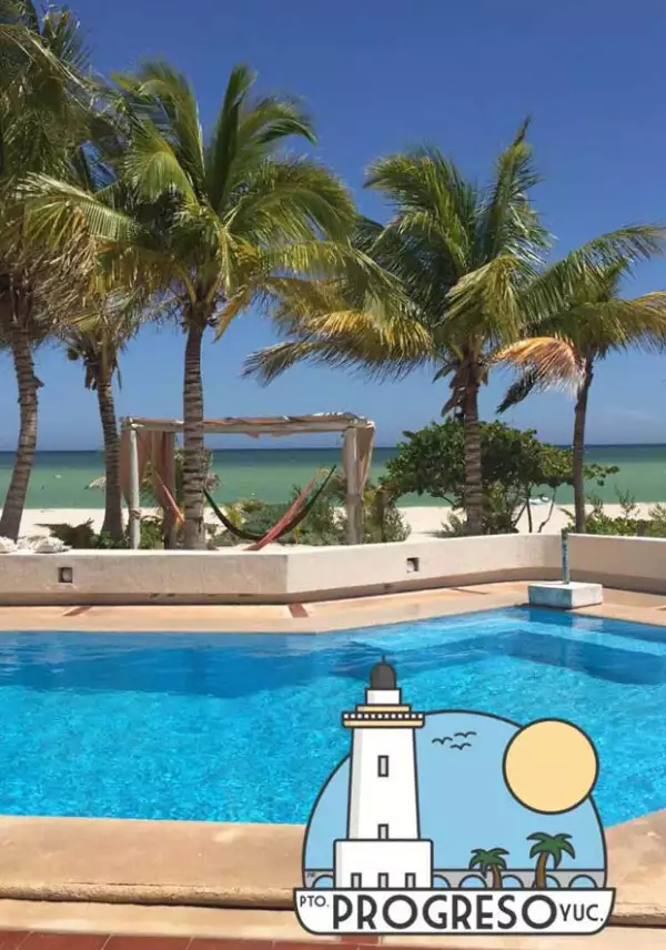 ¿Sabías que en Progreso hay miles de flamingos?