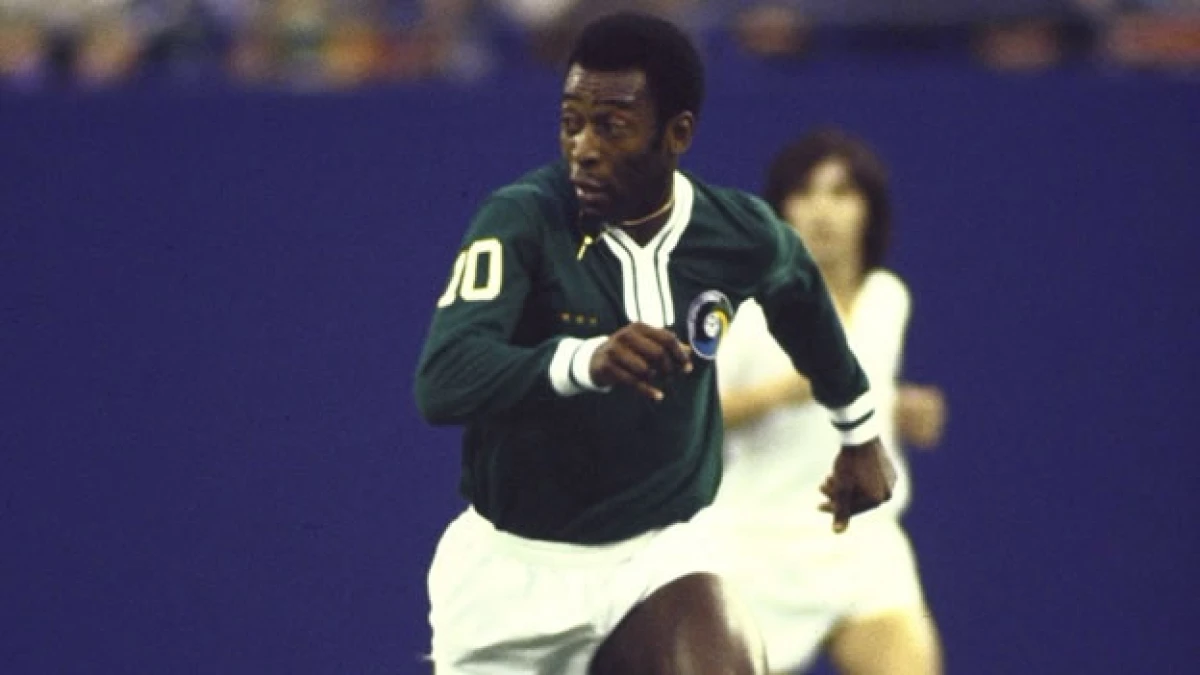 PELE