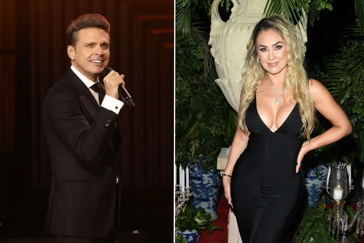 aracely-luis-miguel.jpg