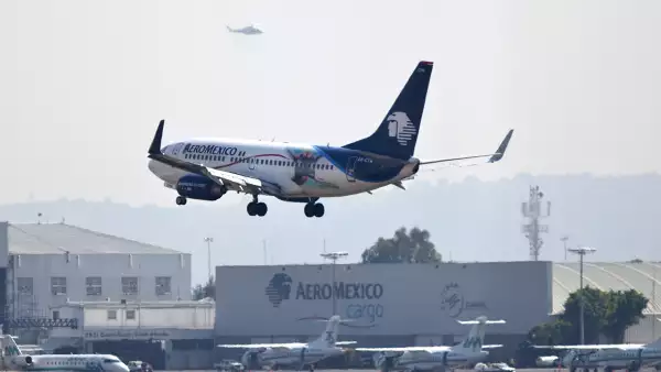 Levanta el vuelo