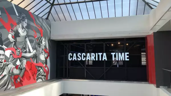 Cascarita time de adidas