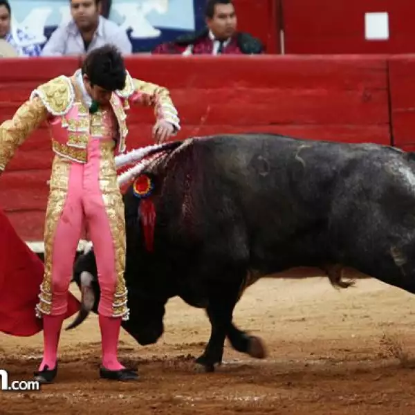 Matador Alejandro Talavante