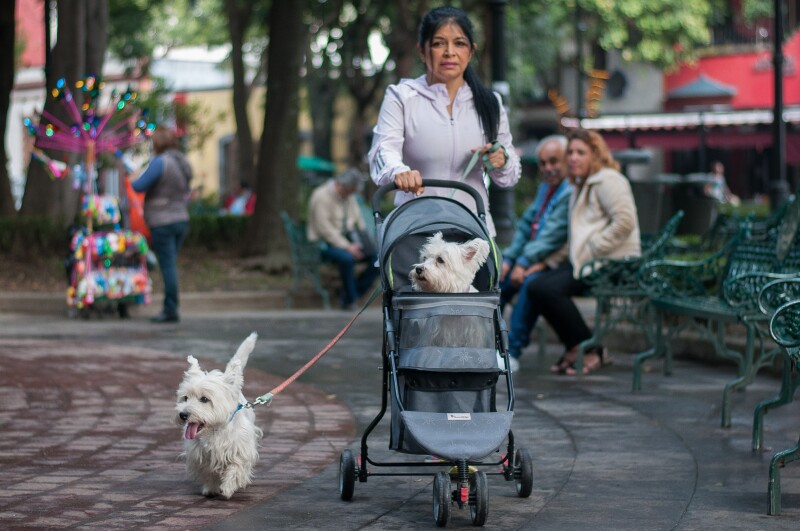 Vida_Cotidiana-3_126.jpg