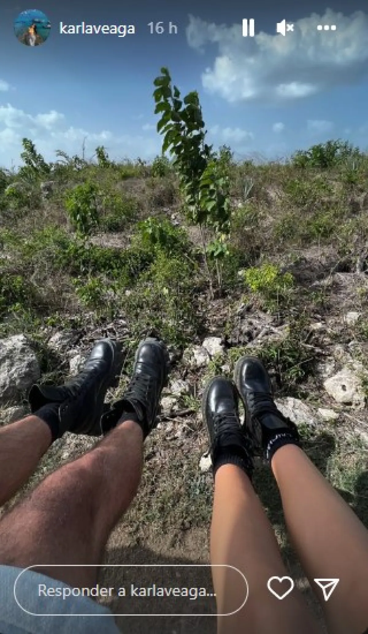 Karla Laveaga y Alejandro Fernández