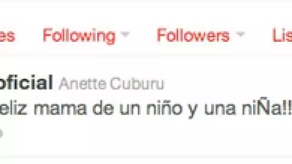 Anette anunció por Twitter la llegada de sus bebés.