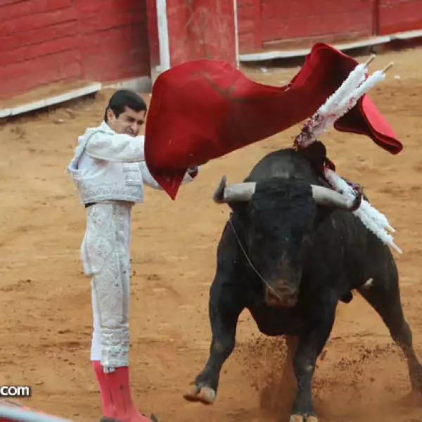 Joselito Adame