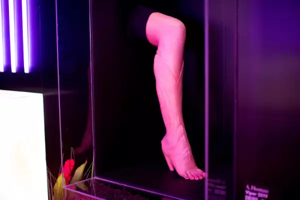 Cuerpo en moda_4