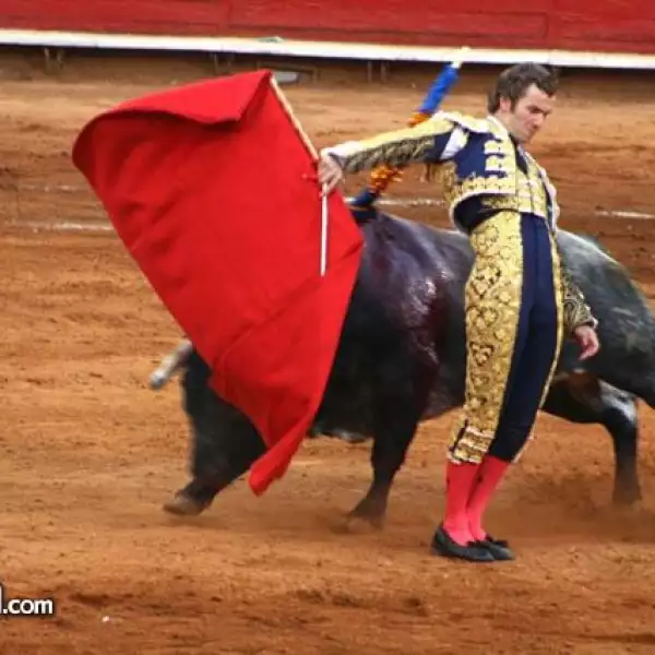 toros 1 fecha