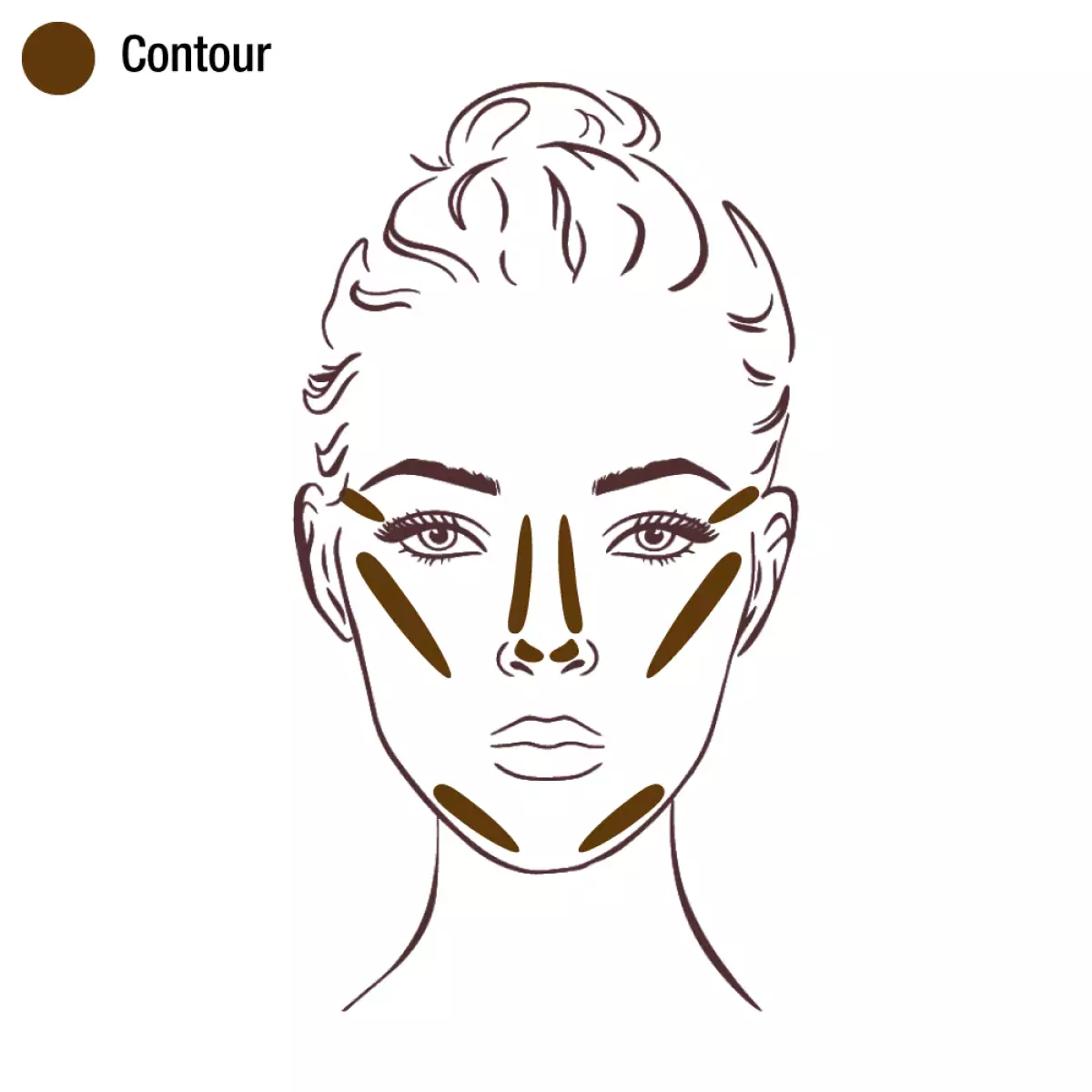 Contour