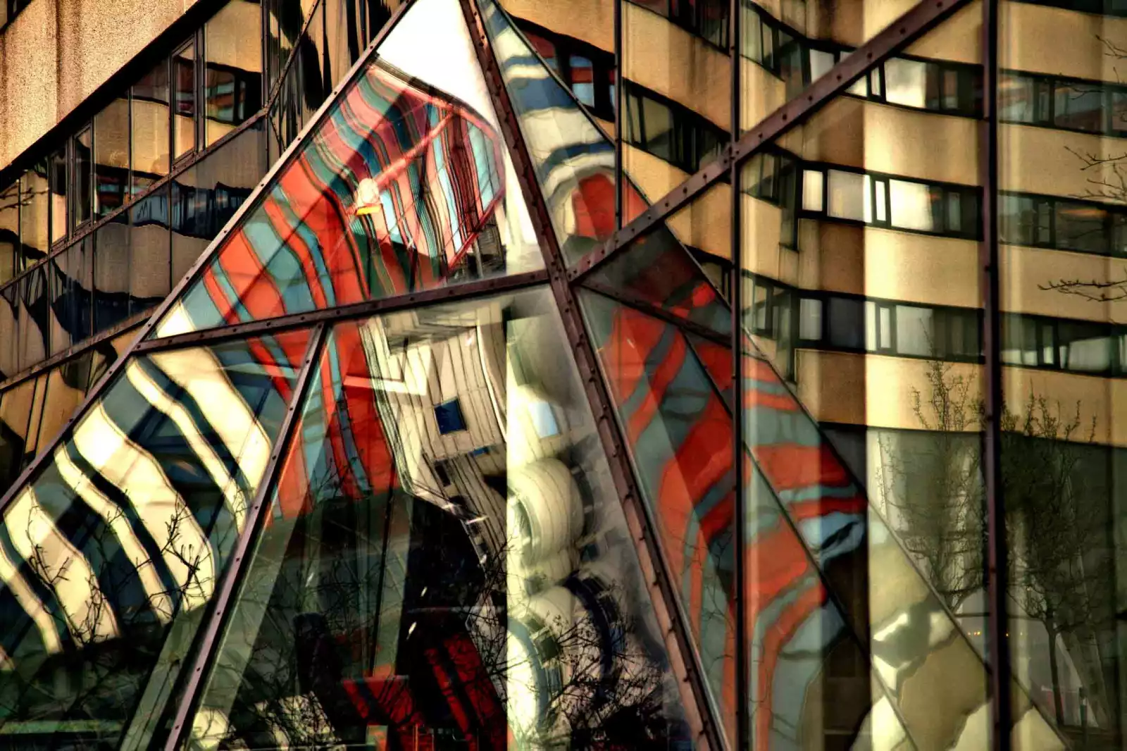 Portafolio Mattias Backstr�m10