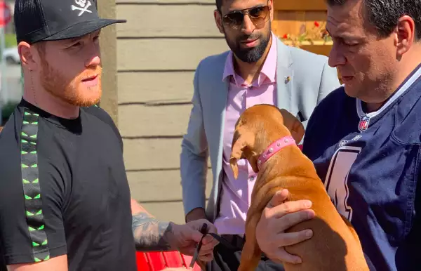 canelo-perrita.png