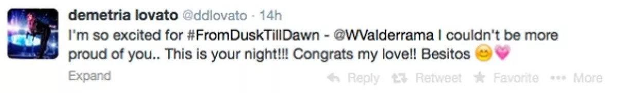 El tuit de Demi fue retuiteado más de 10 mil veces.